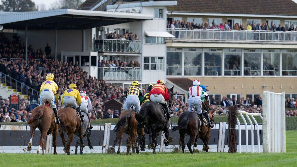 wincanton horse racing 0010