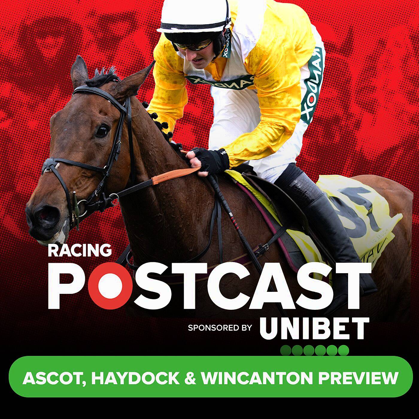 wincanton horse racing 0018