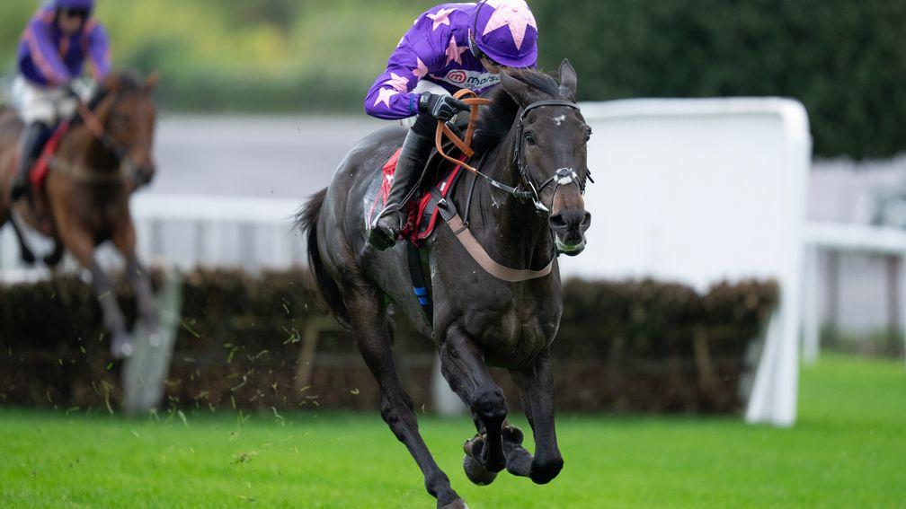 wincanton horse racing 0020