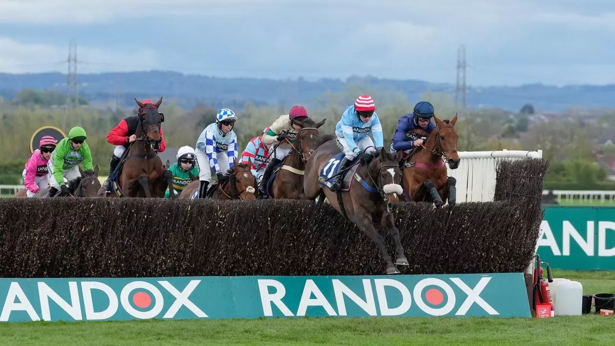 wincanton horse racing 0029