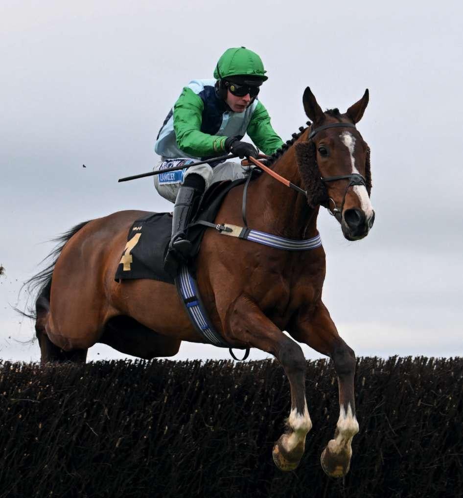 wincanton horse racing 0037
