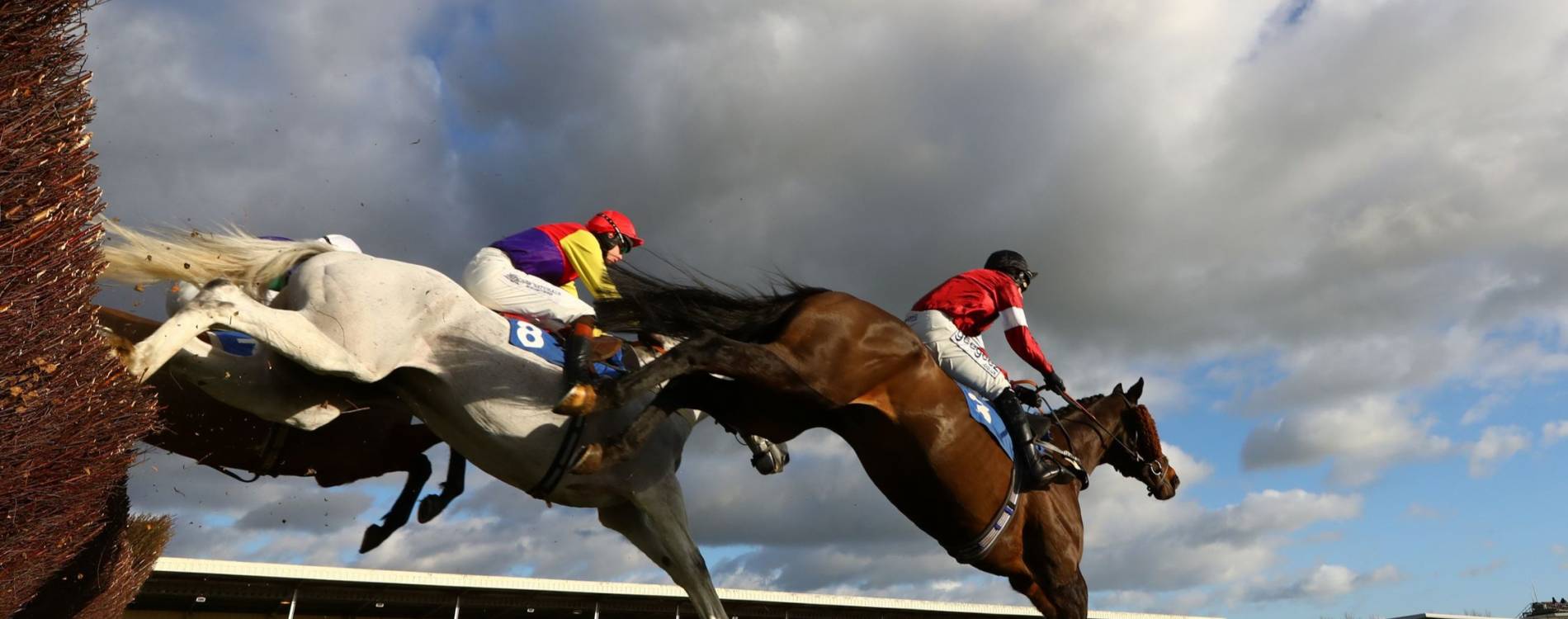 wincanton horse racing 0039