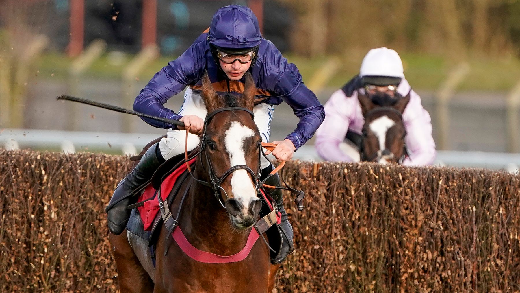 wincanton horse racing 0040