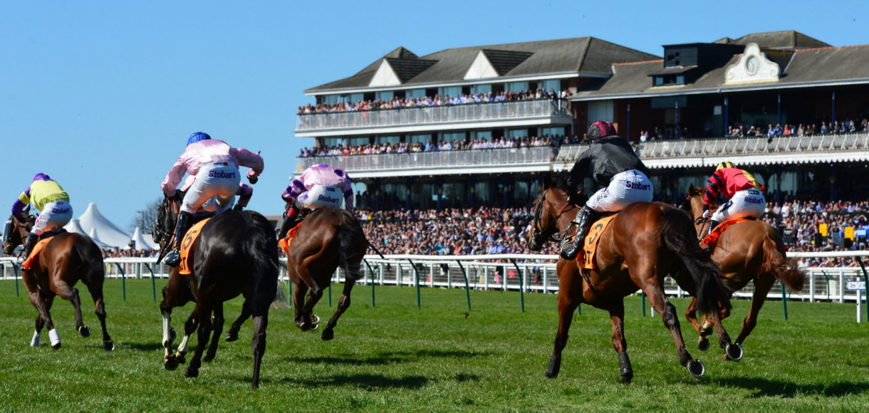 wincanton horse racing 0044