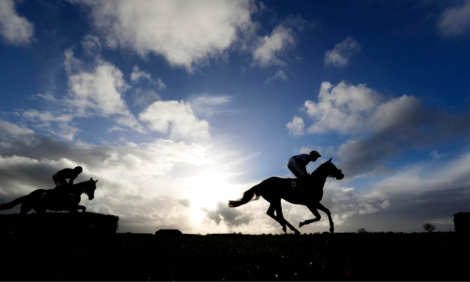 wincanton horse racing 0045