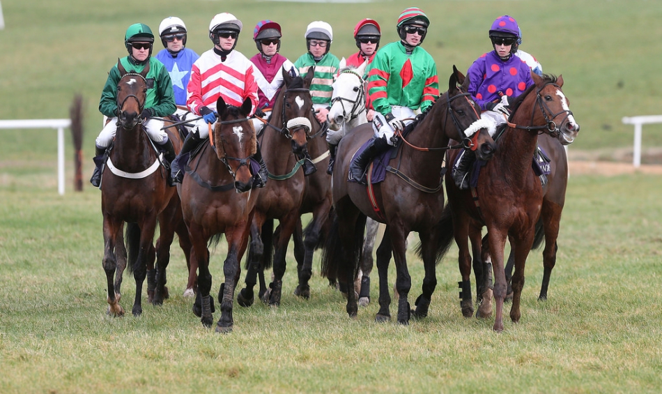 wincanton horse racing 0048