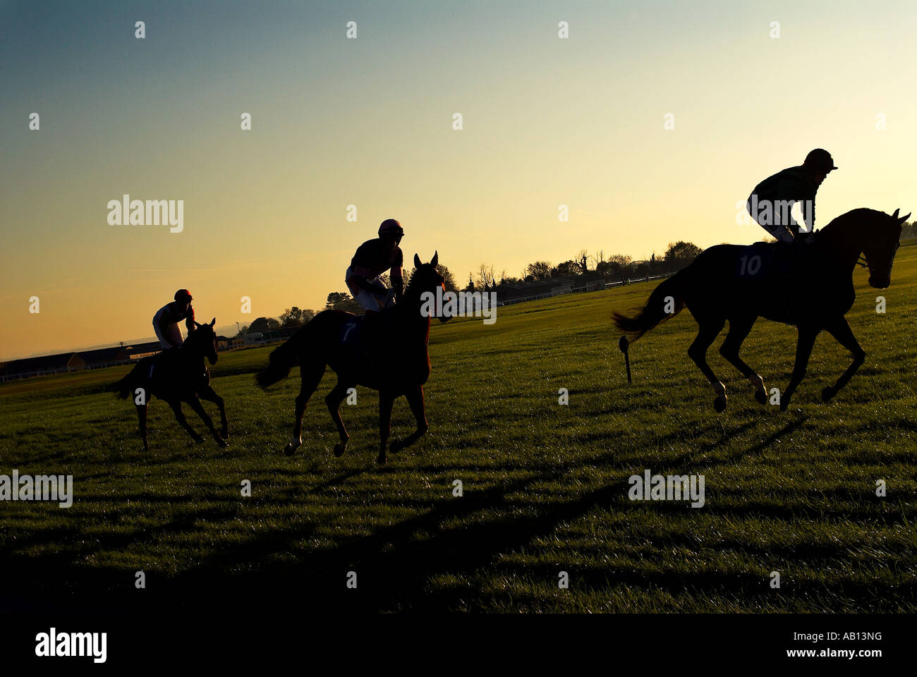 Wincanton jockey profiles