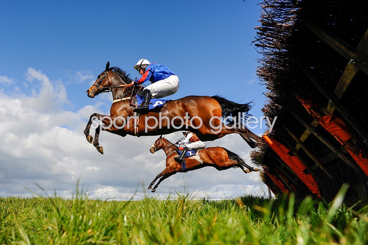 Wincanton racecard today
