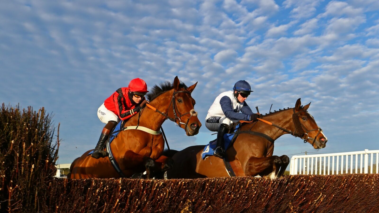 Wincanton trainers statistics.