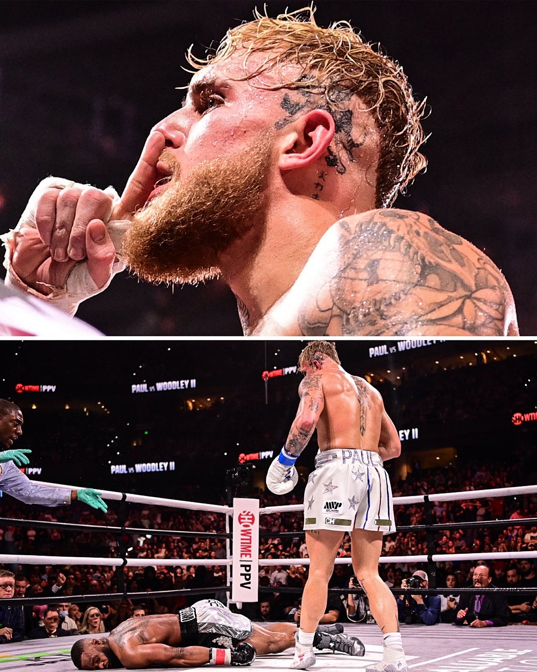 winter fights boxing