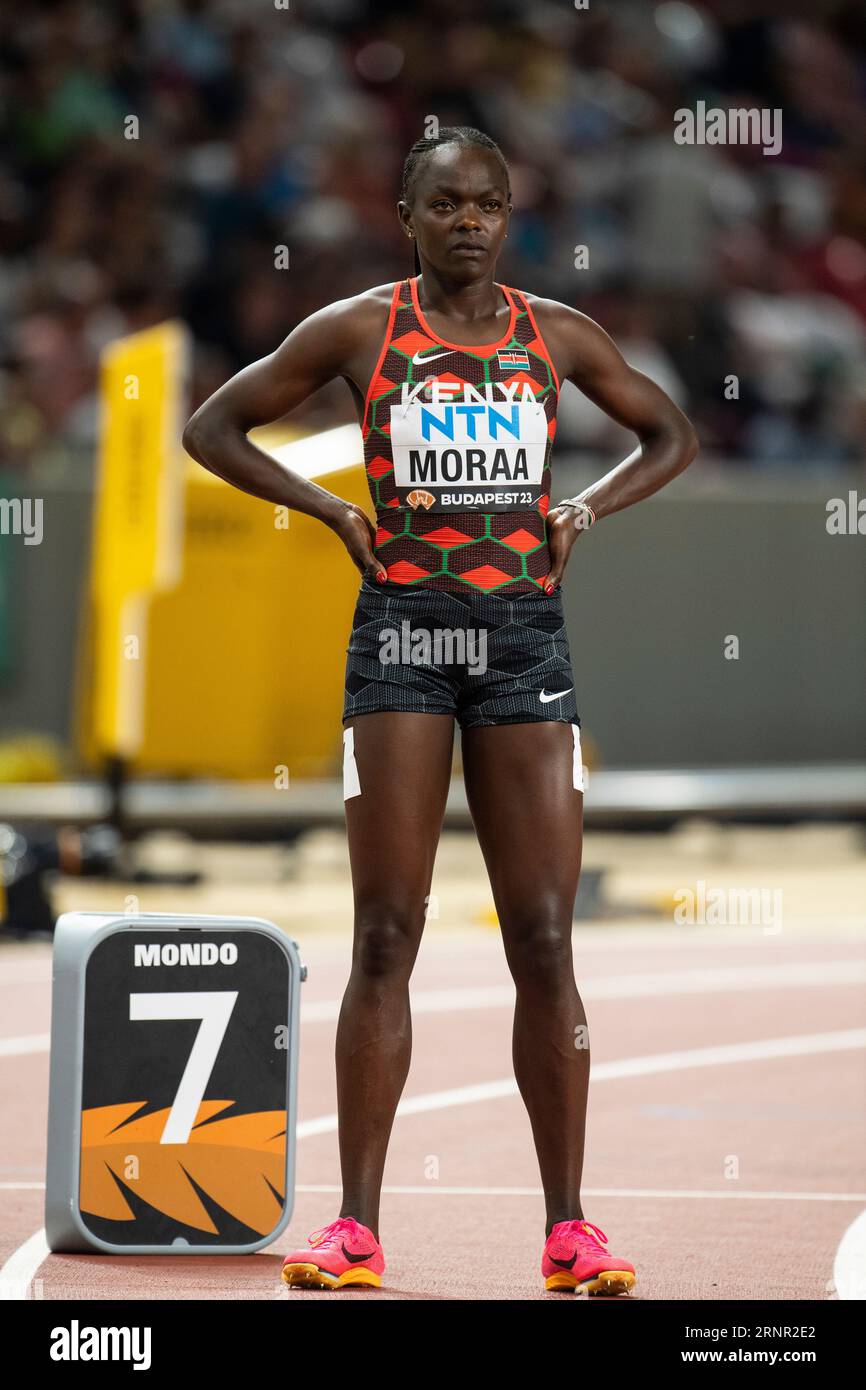 women's 800m 2023 0041