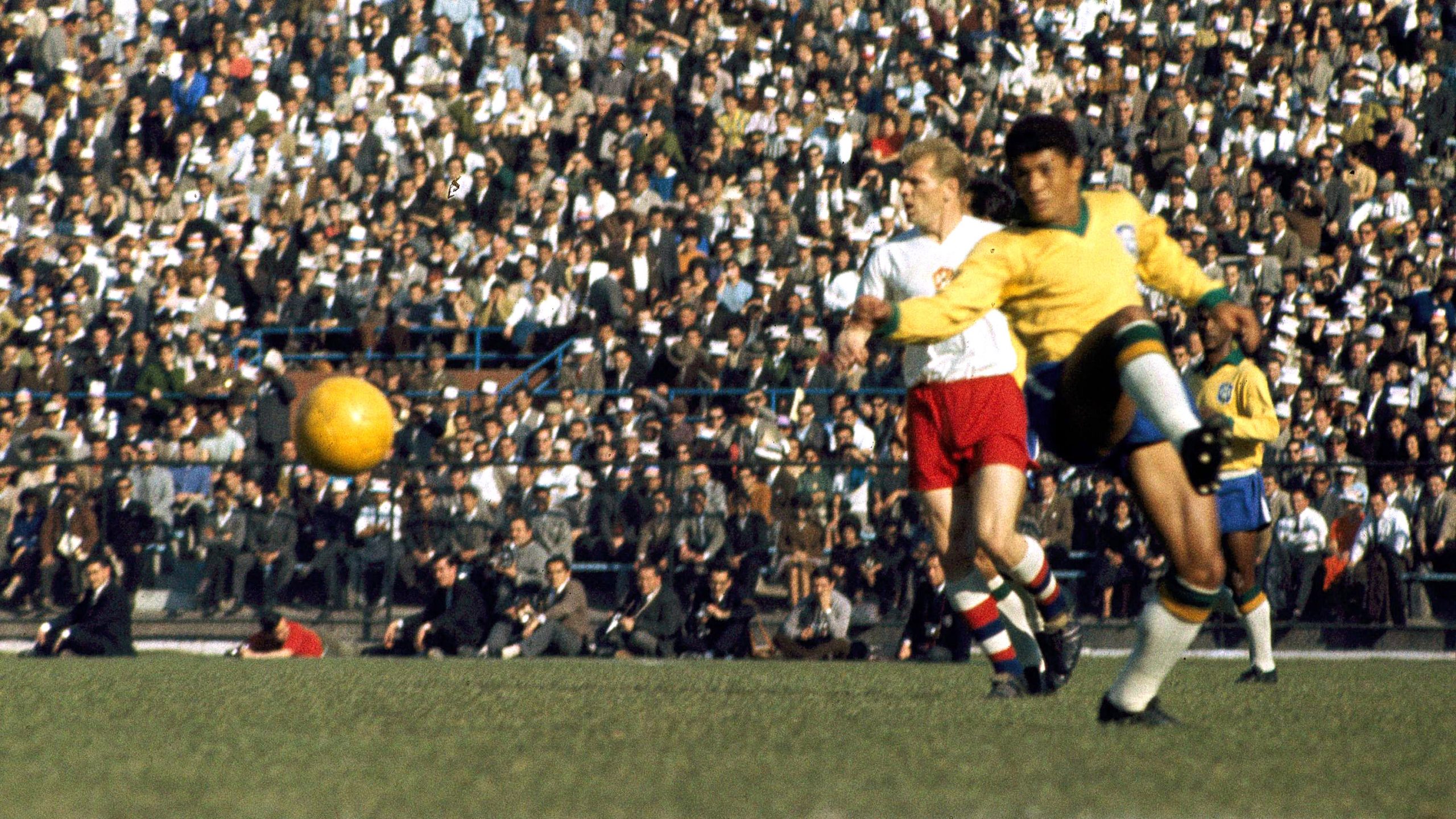 world cup pele wallpaper 0051