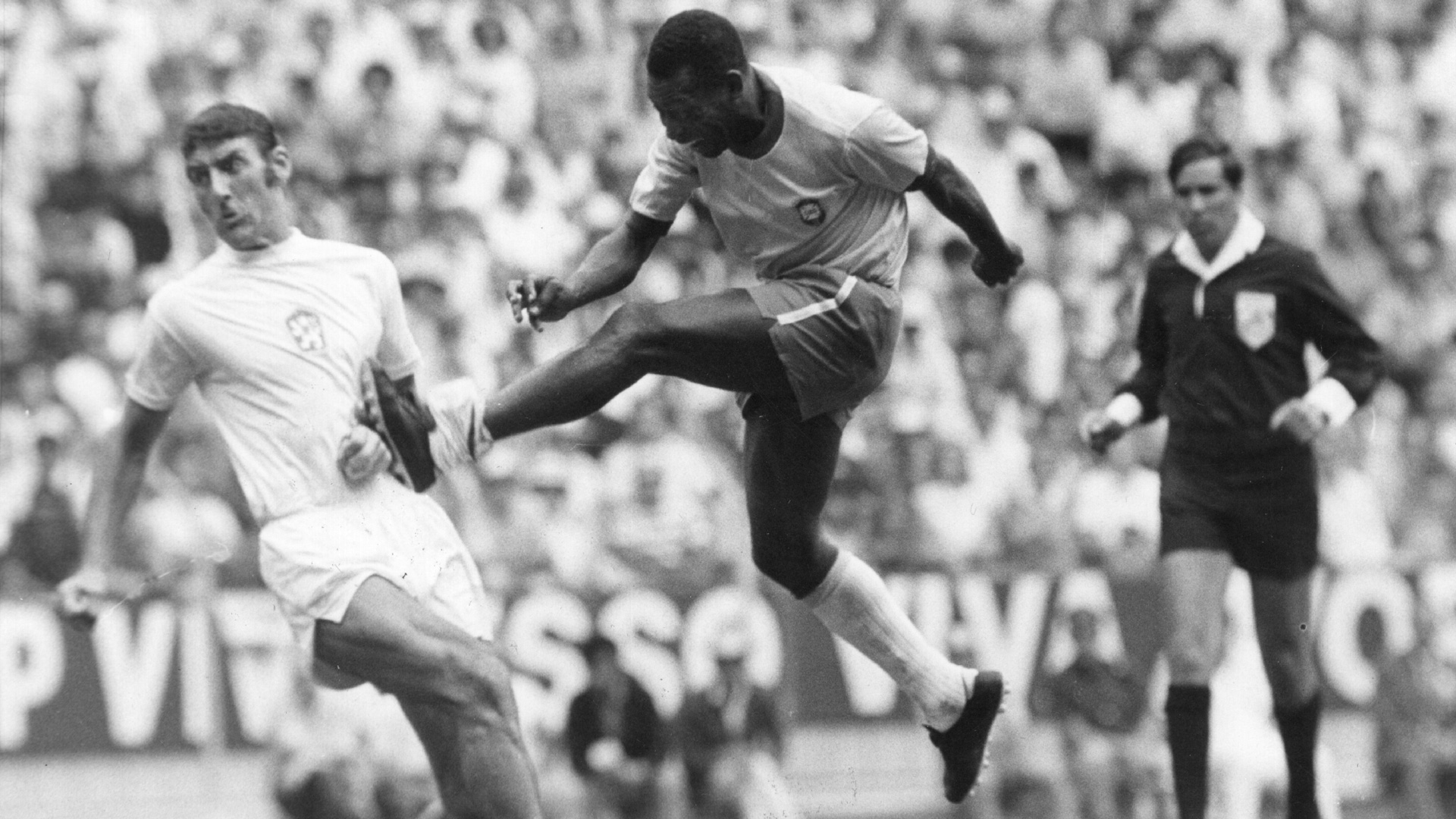 world cup pele wallpaper 0065
