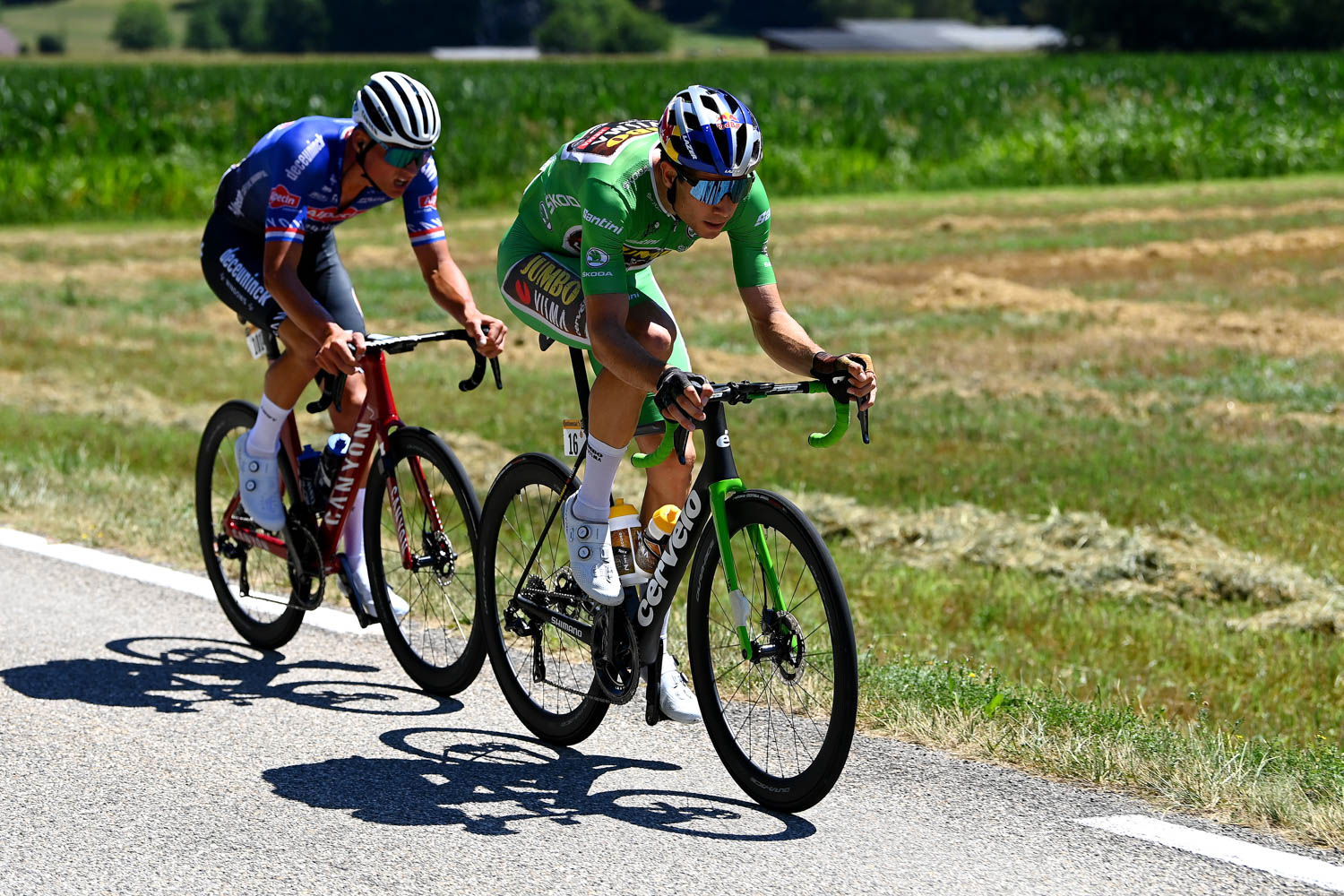 Wout van Aert biography