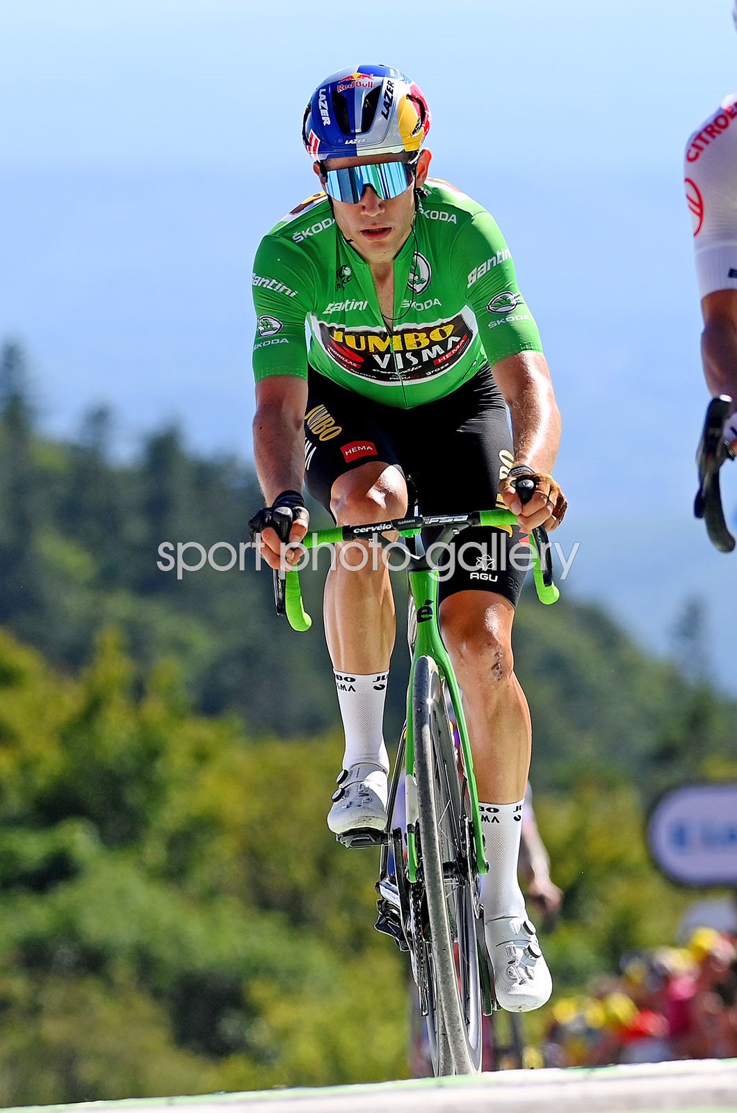 wout van aert green jersey 0023