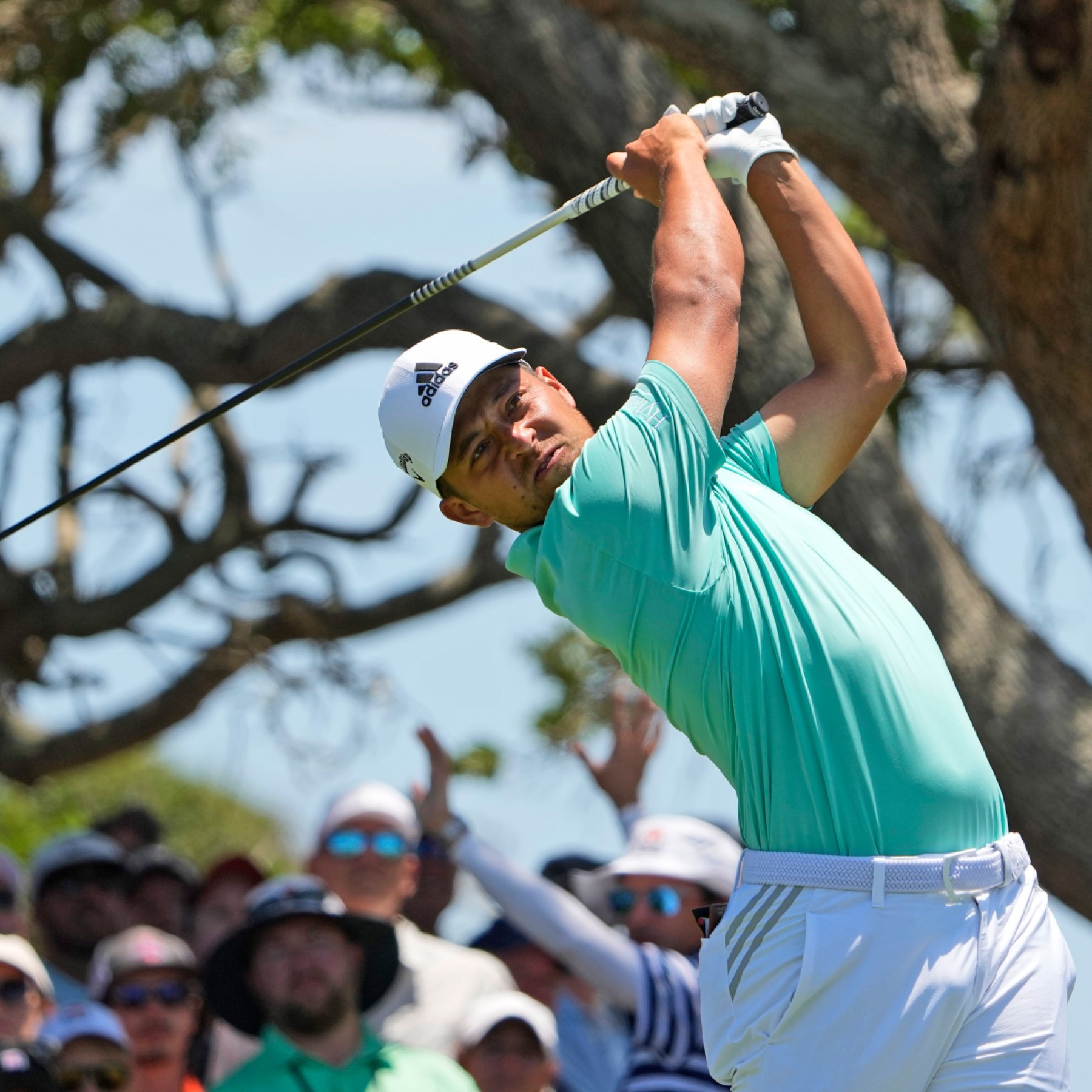 xander schauffele driver swing 0038