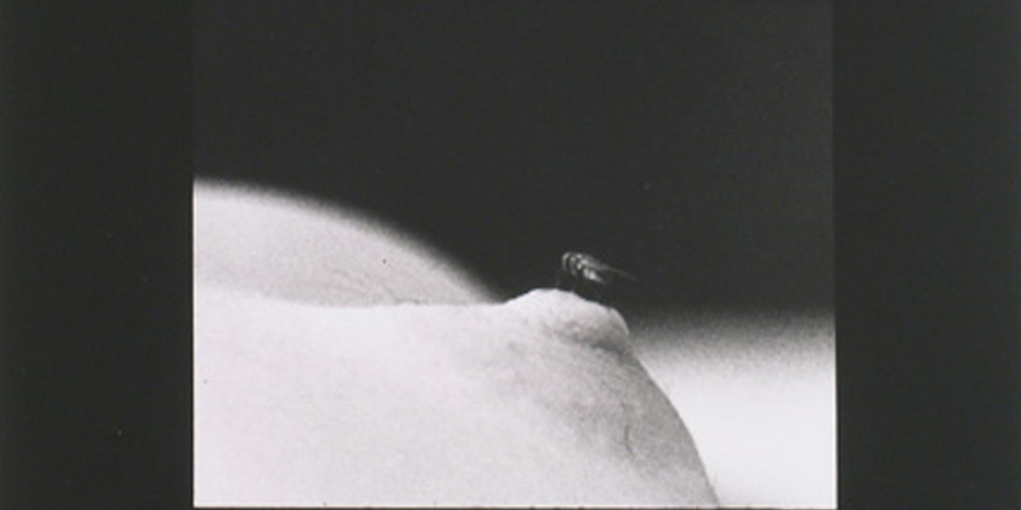 Yoko Ono activism