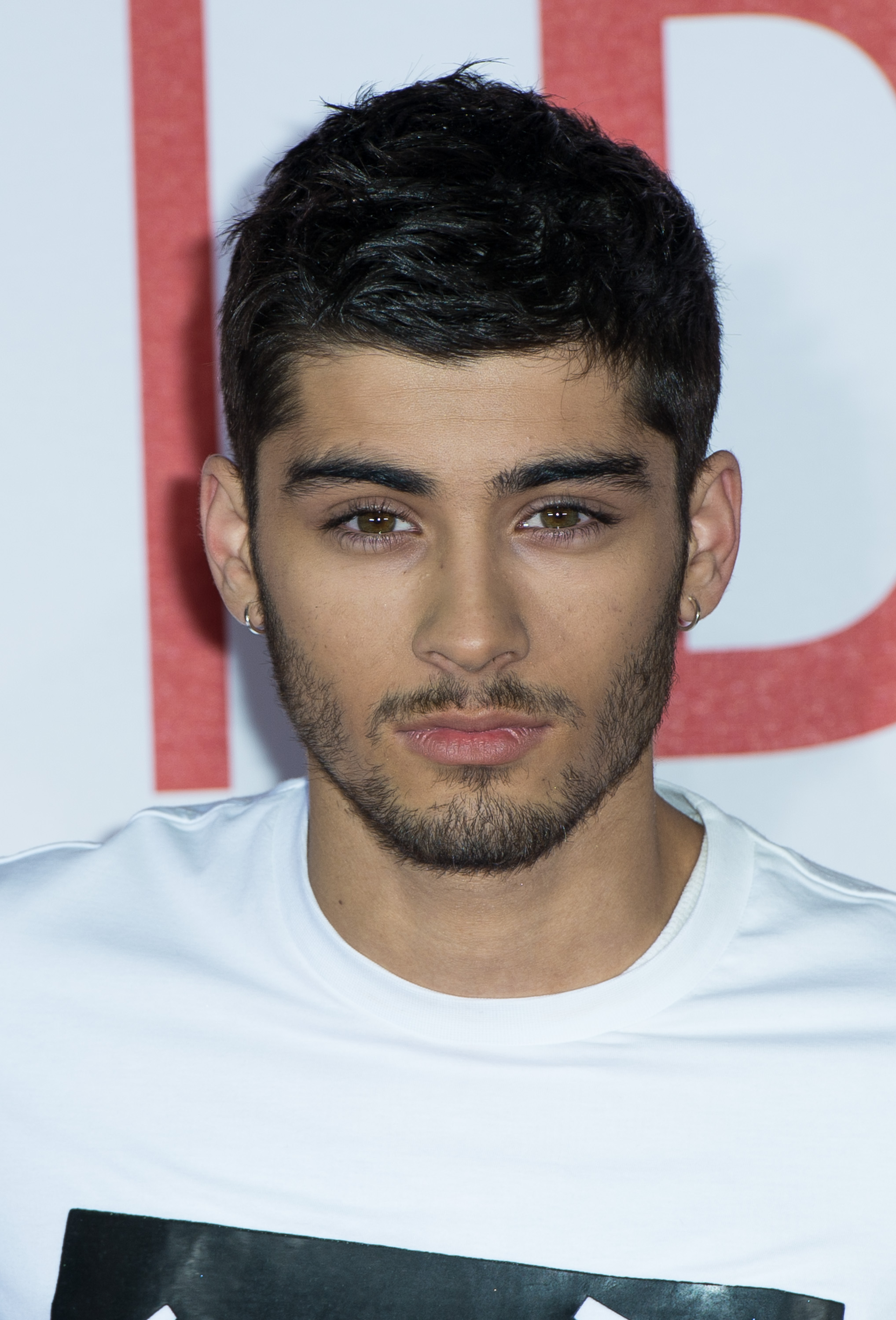zayn 2013 0013