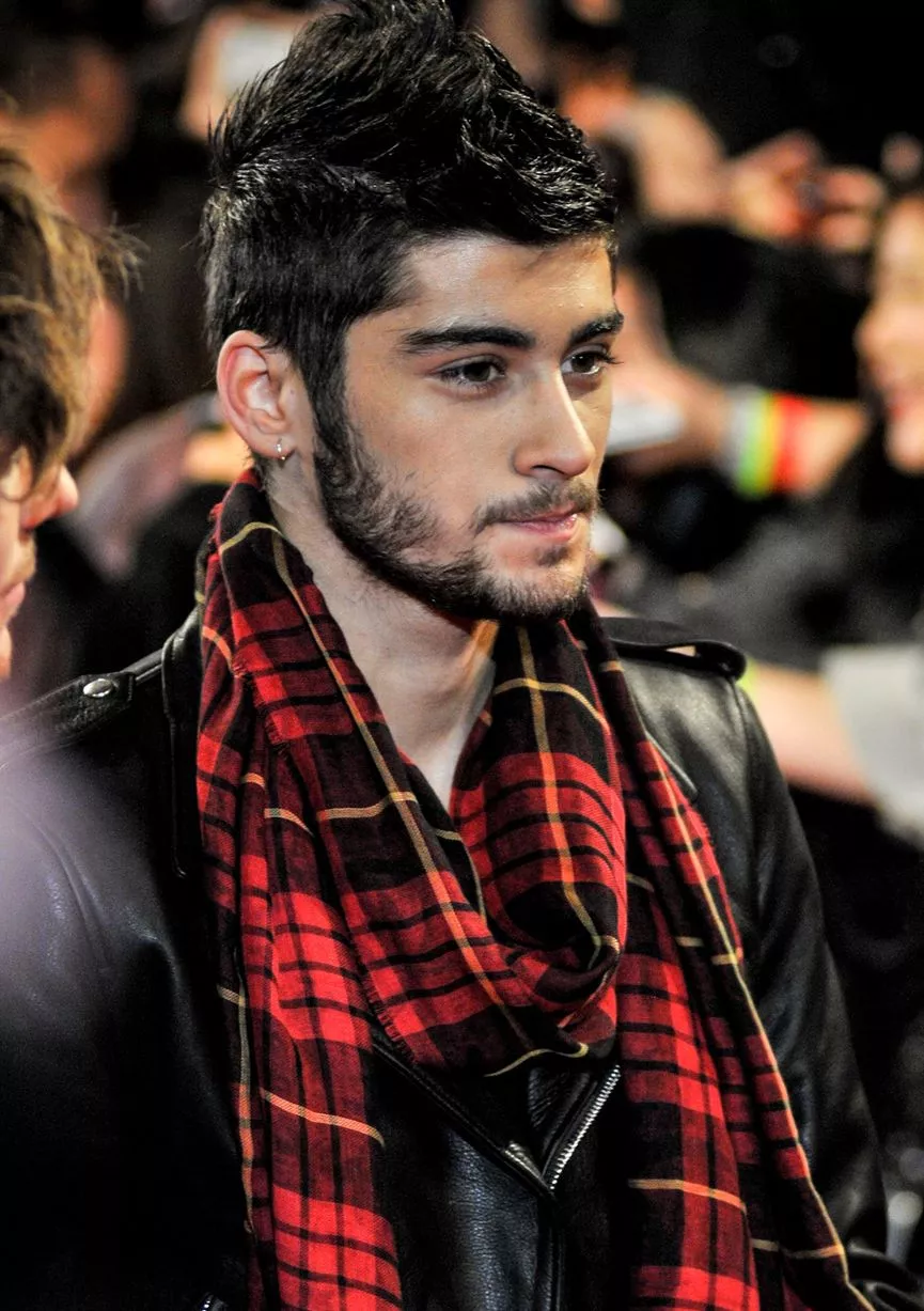 zayn 2013 0030