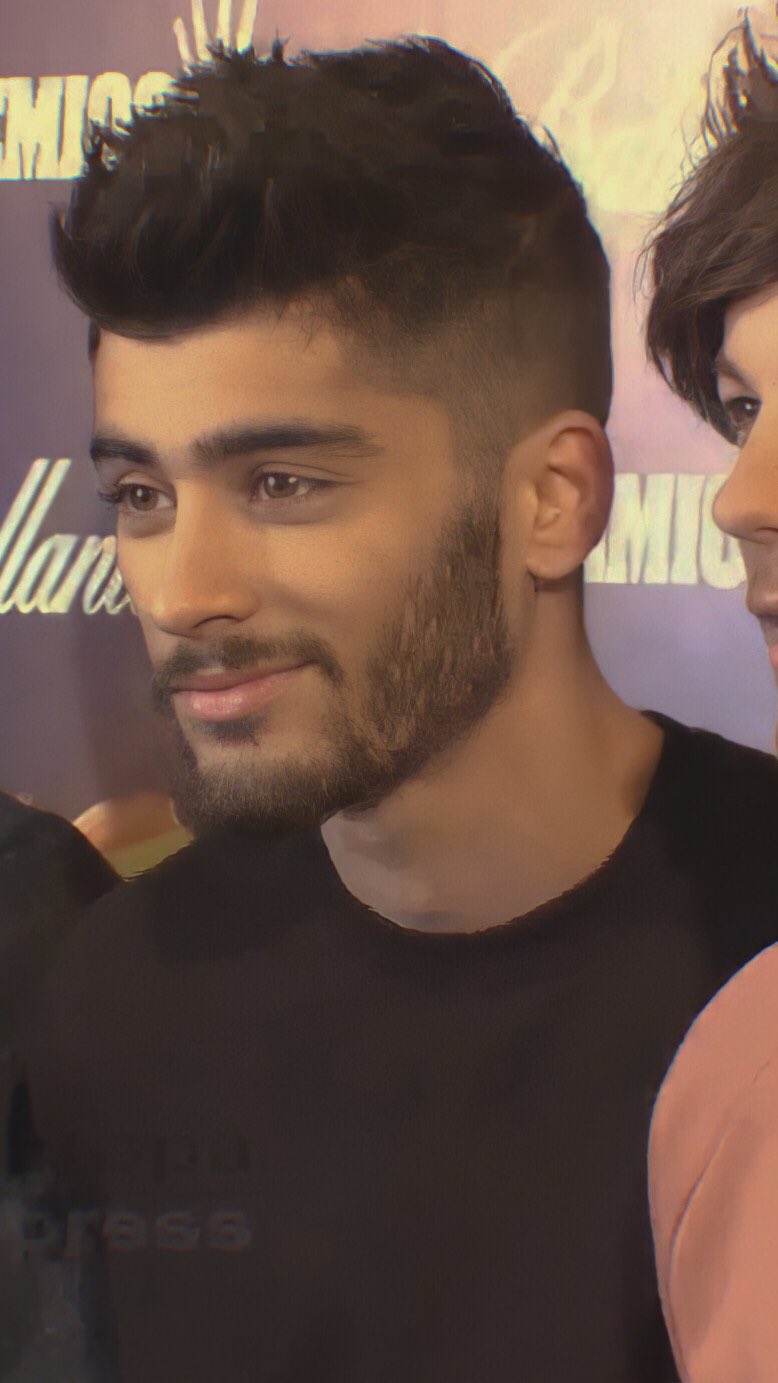 zayn 2013 0033