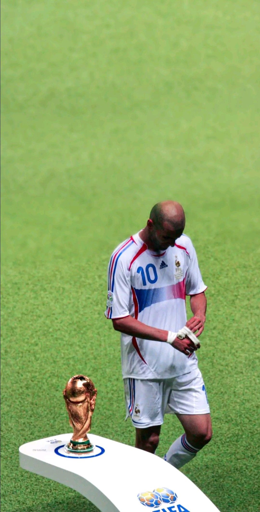 zidane pfp 0011