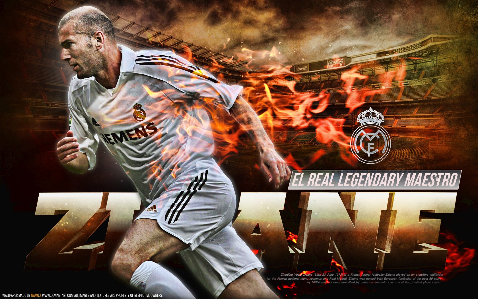 zidane pfp 0024