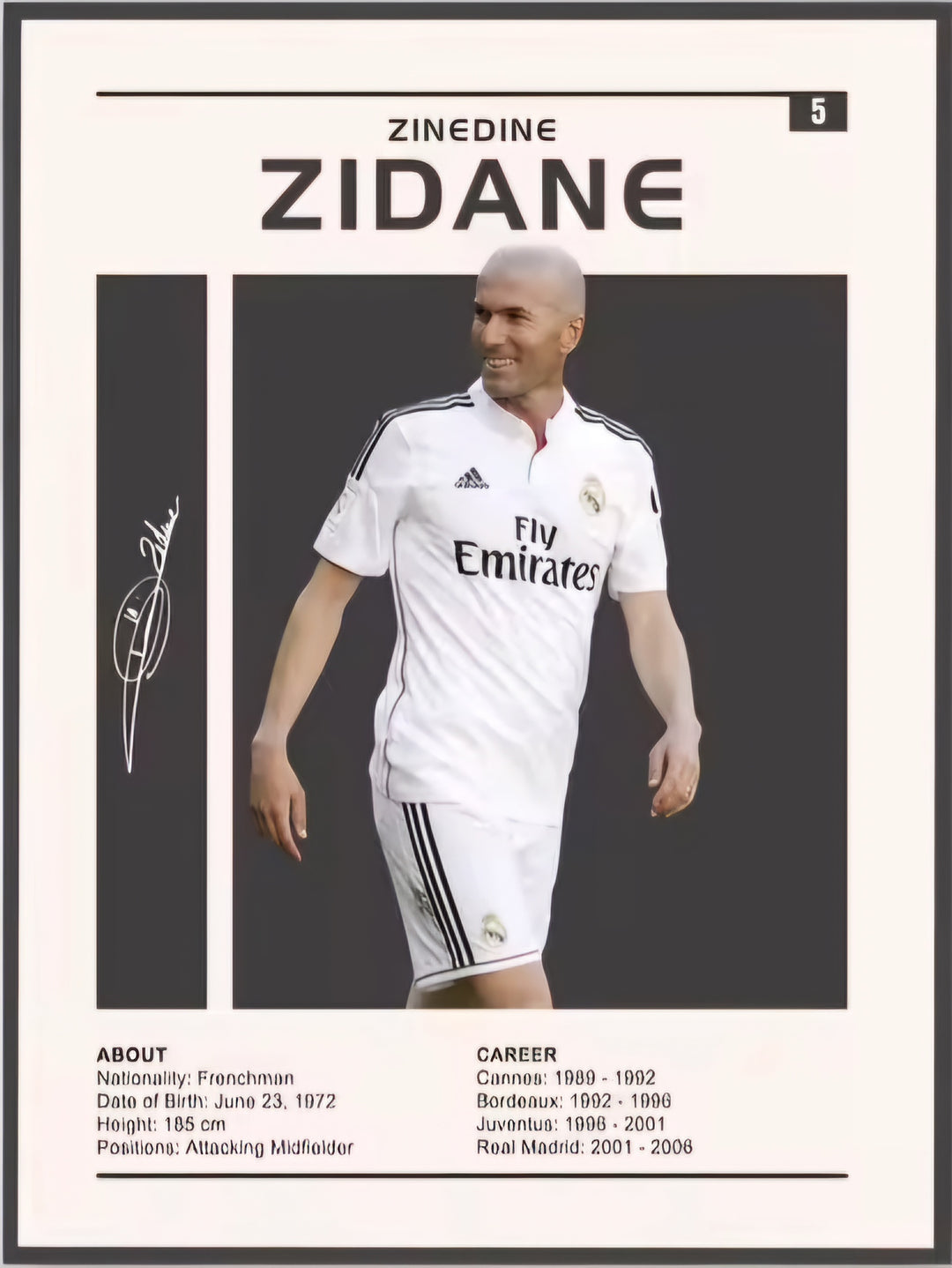 zidane poster 0026