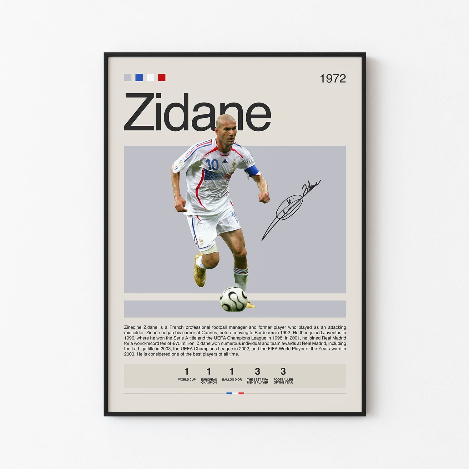 zidane poster 0029