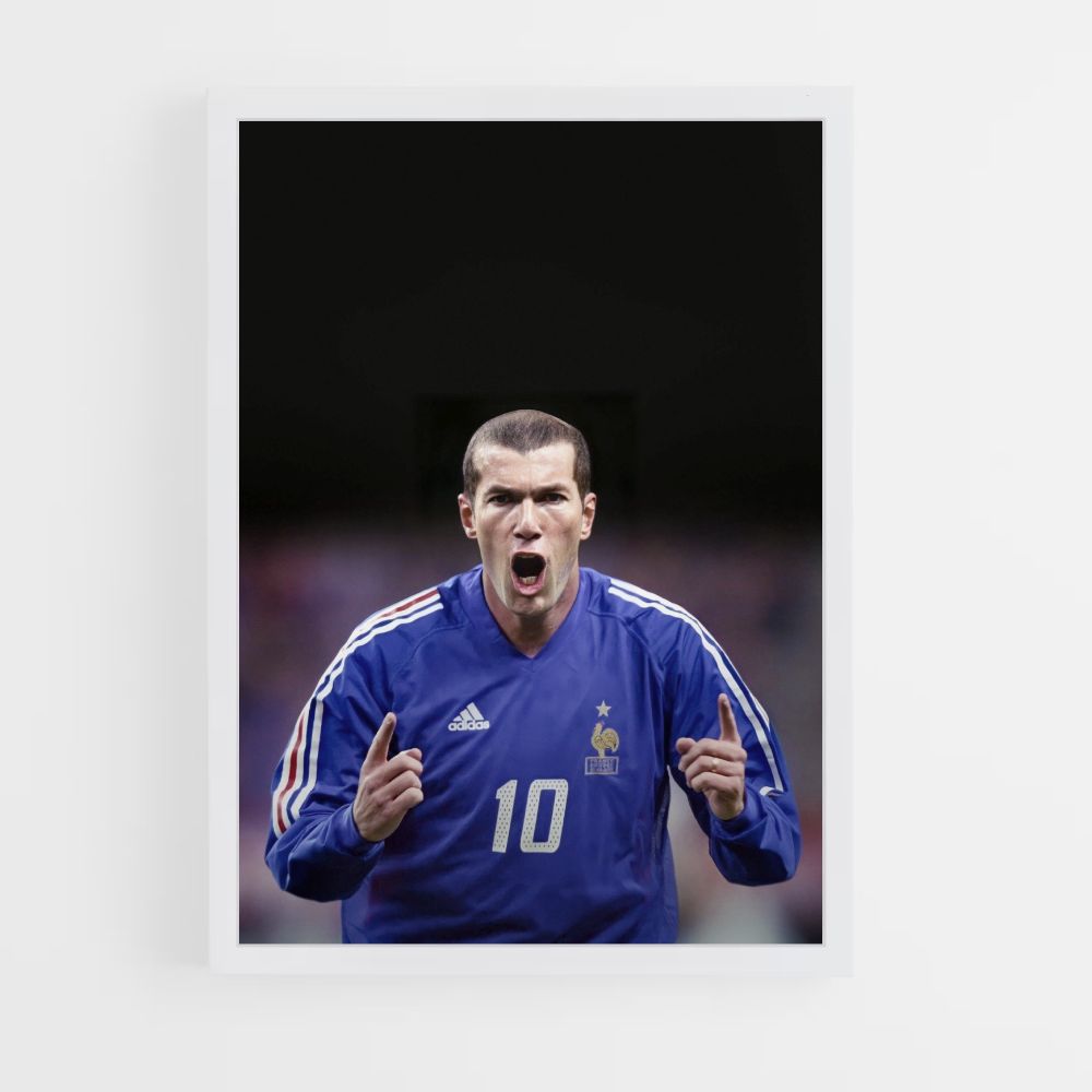 zidane poster 0049
