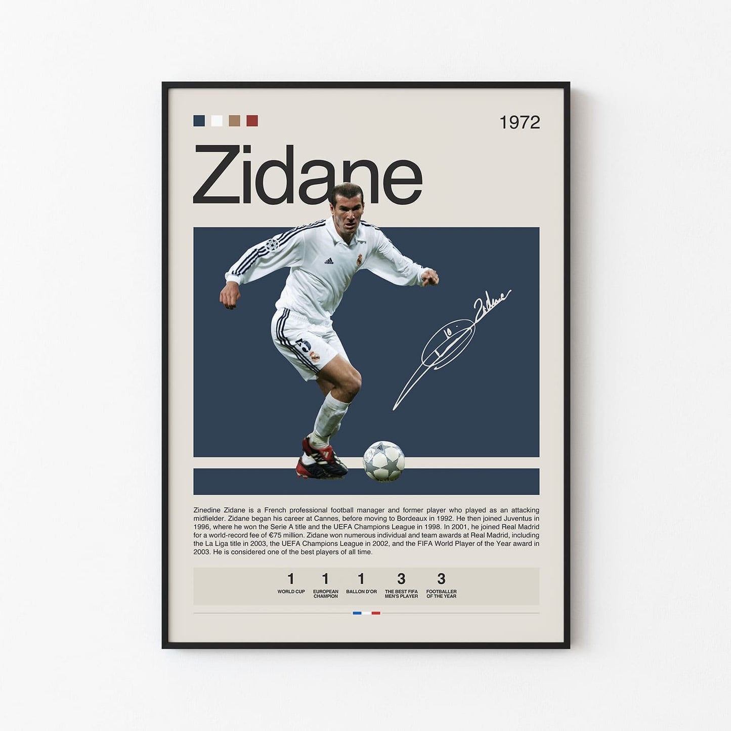 Zidane trophy achievements