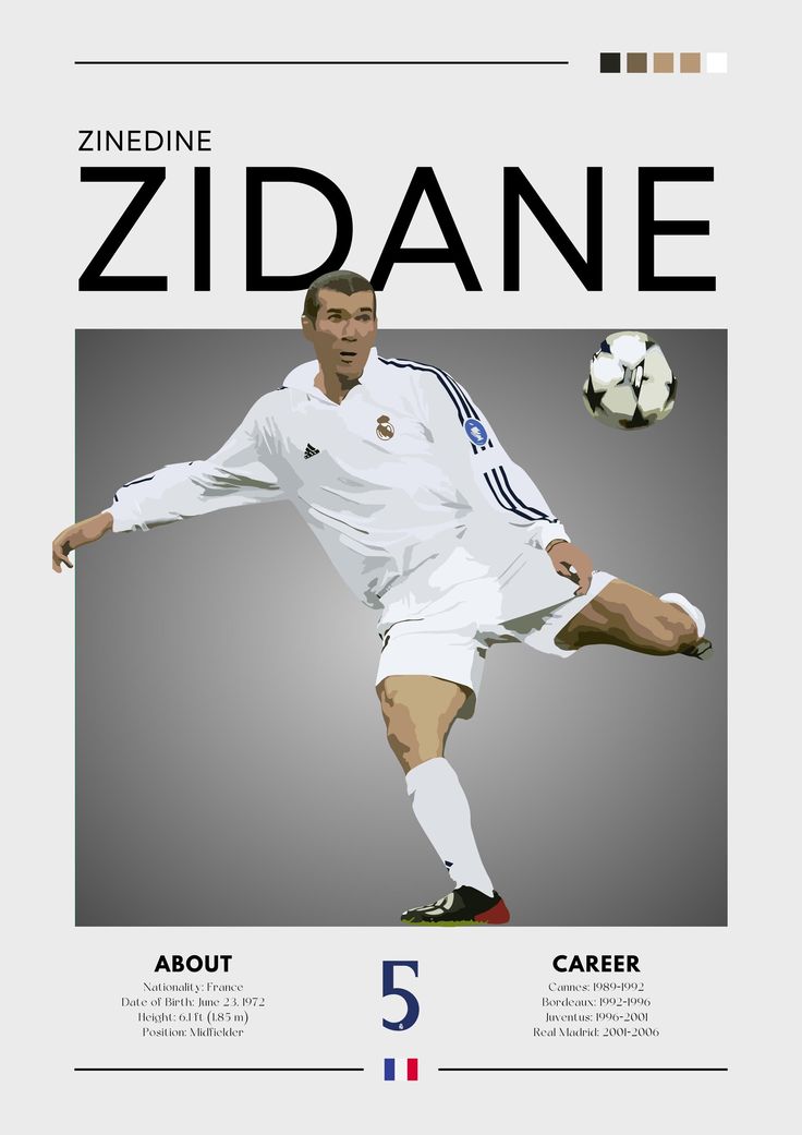 Zidane wall decor