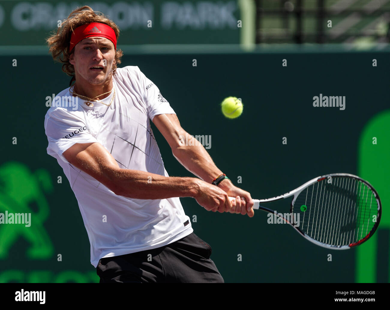 Zverev backhand comparison