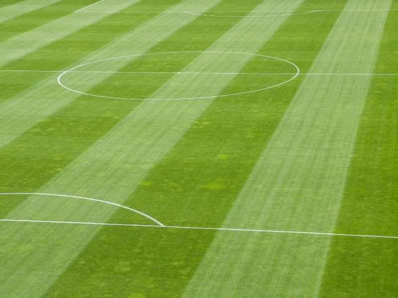 Choosing the Right Grass Seed for Soccer Fields