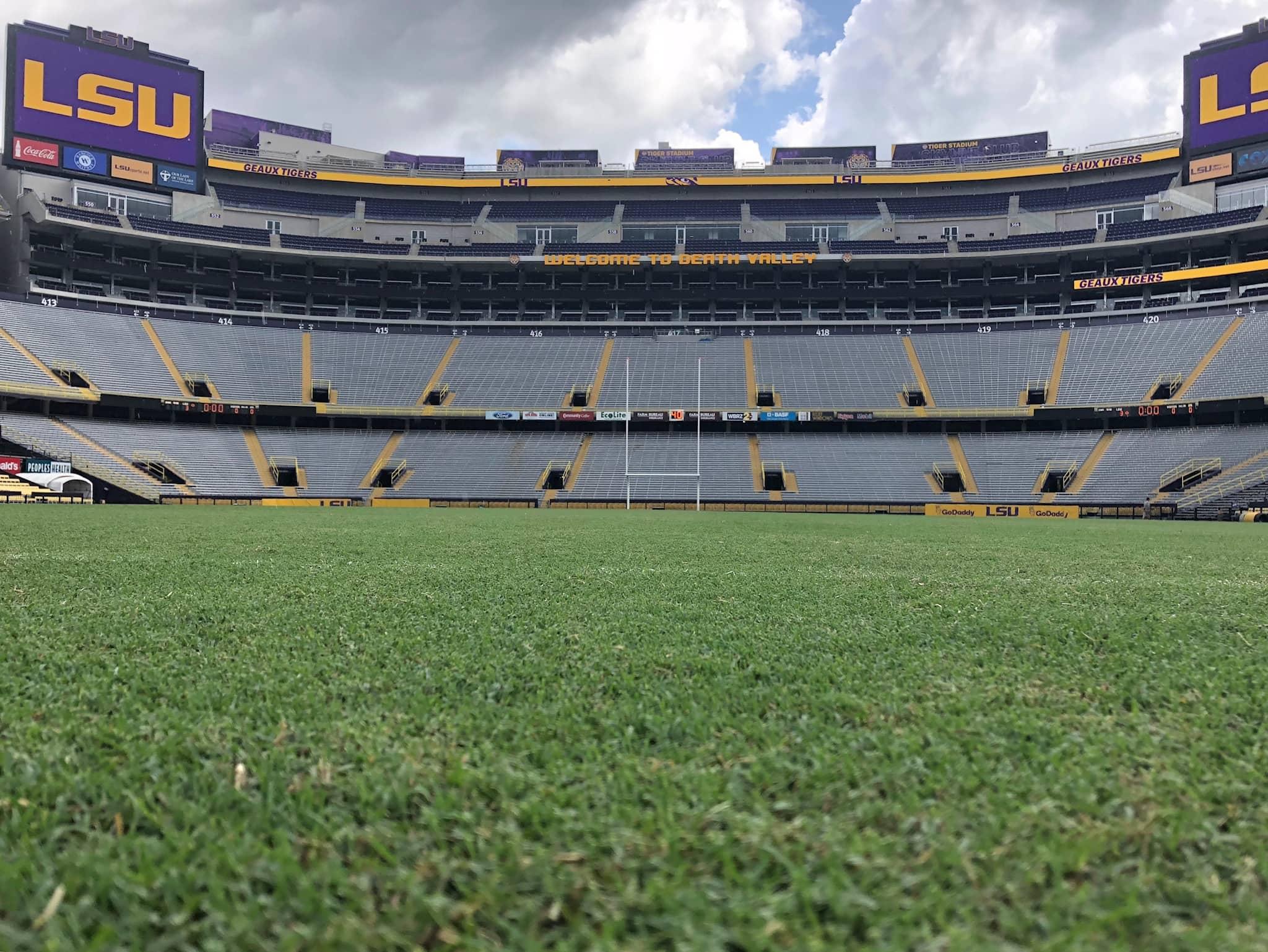 Celebration Bermudagrass on LSU’s Tiger Stadium