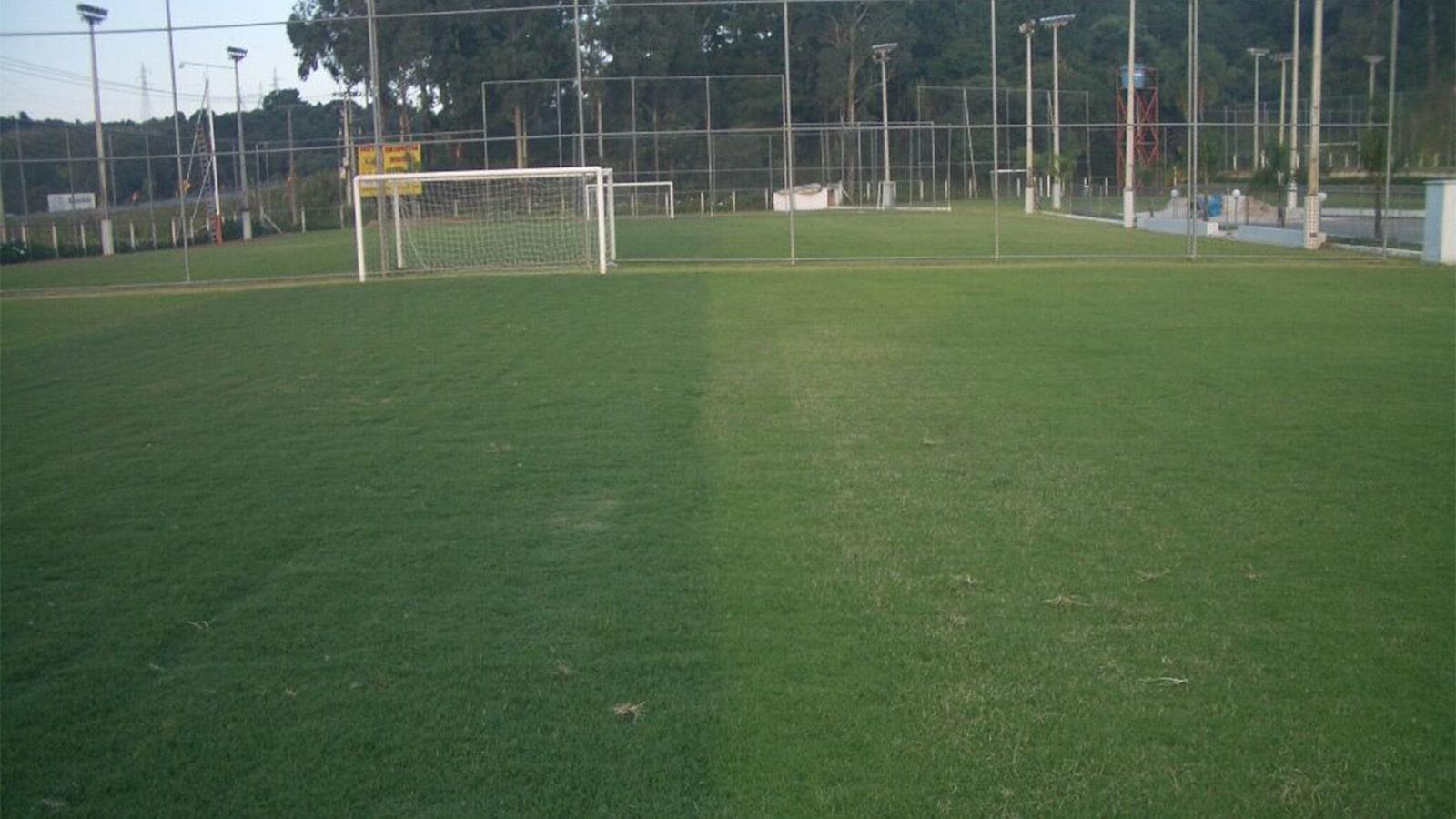 It’s Football Season! – Grasses on High Profile Sports Fields