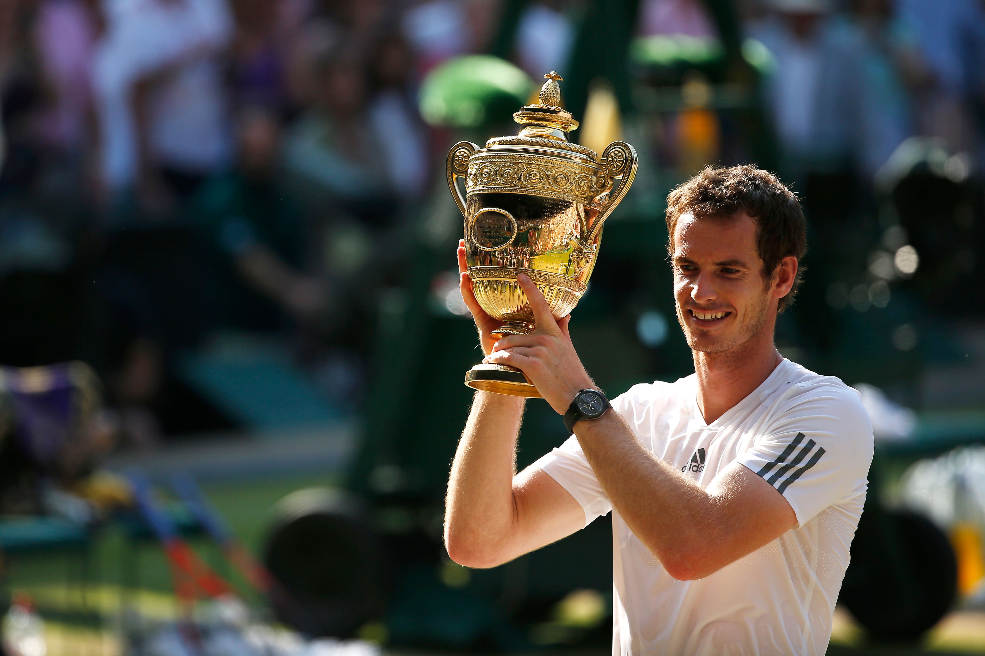 Andy murray wimbledon 2013 stylish victory that made history