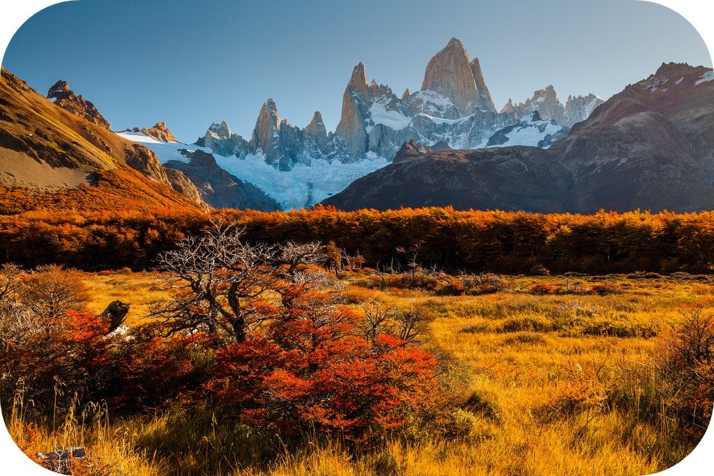 Electrifying colors of argentina autumn create stunning landscapes