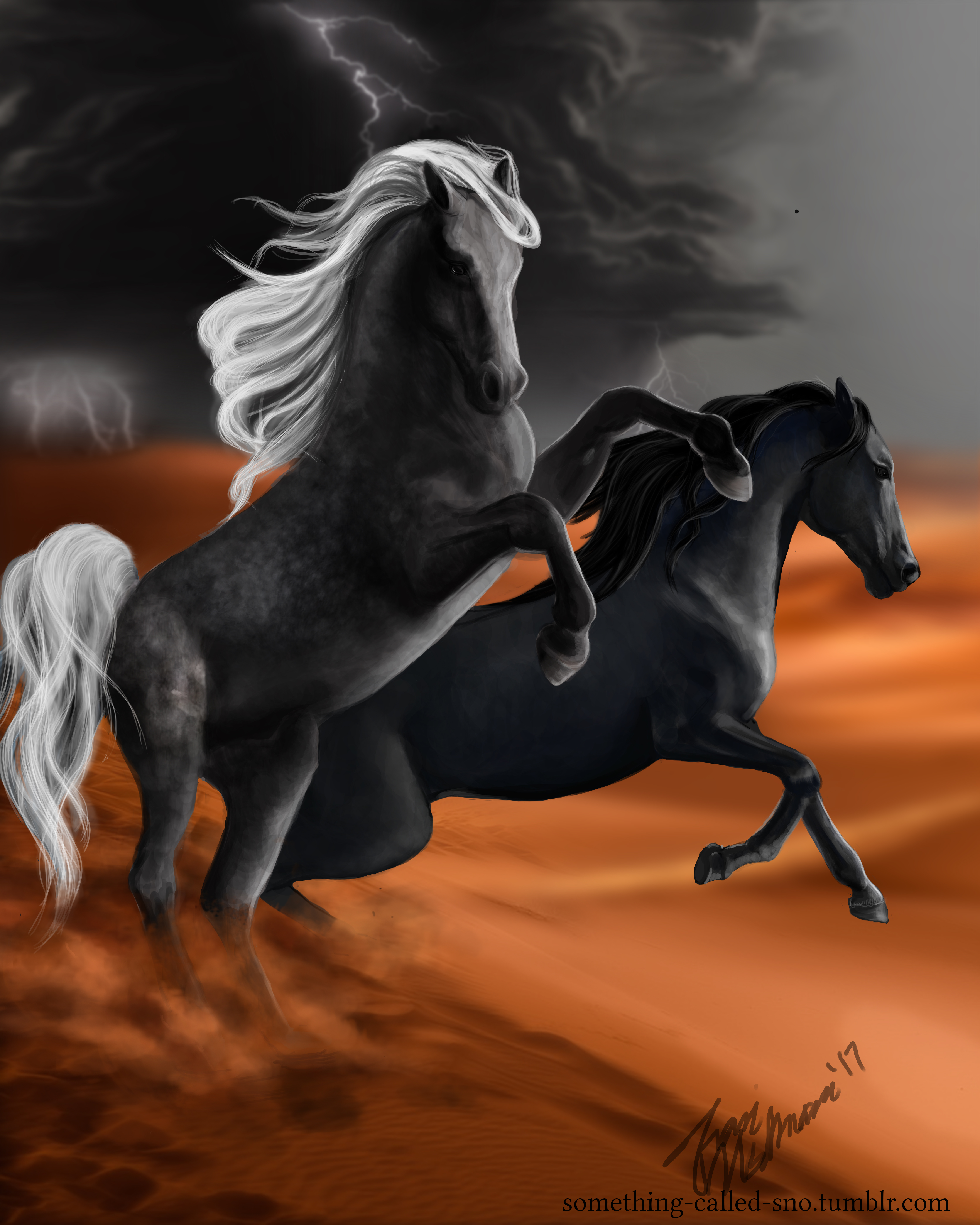 Ambitious asterion horse breeds that will inspire every rider