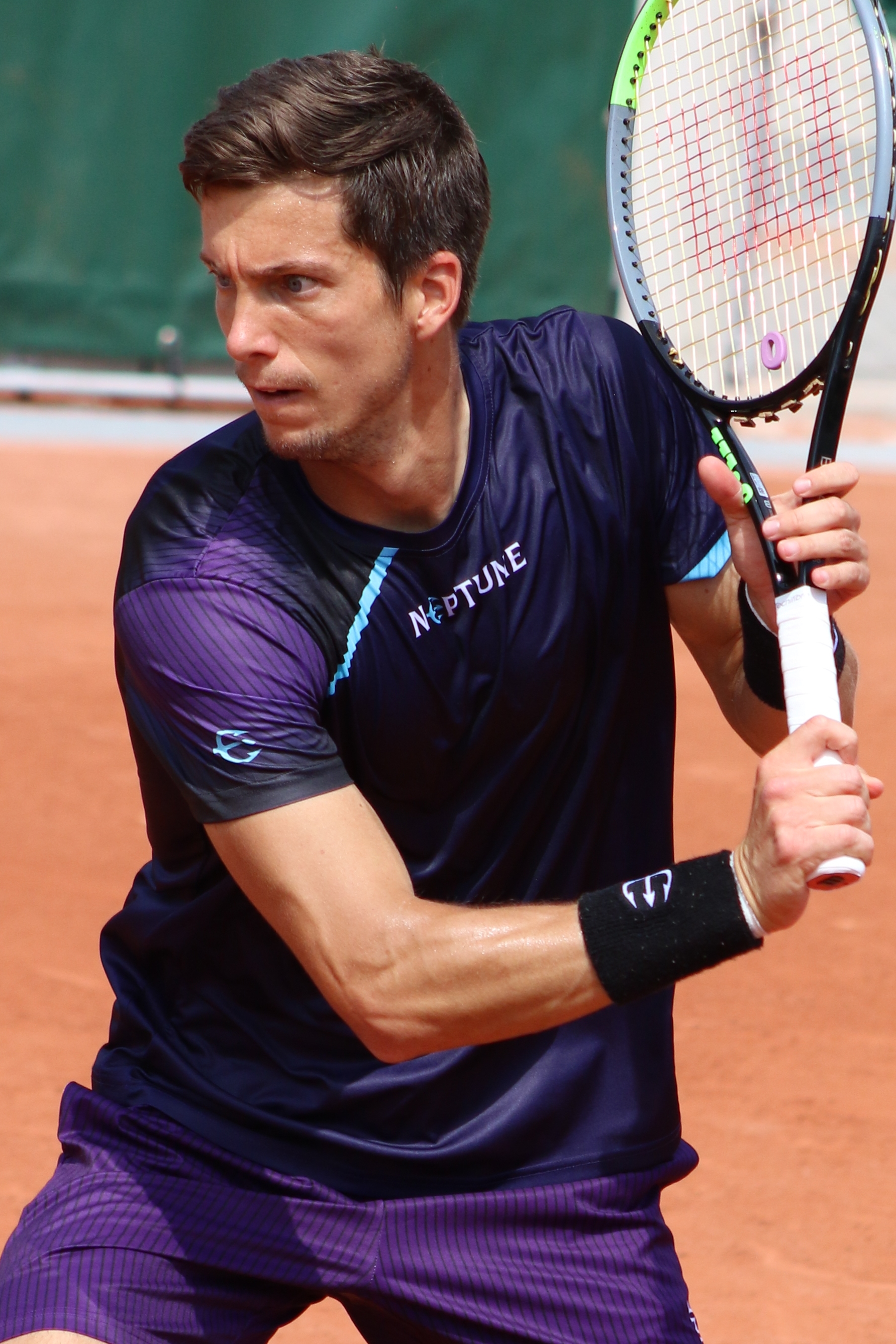 **discover the incredible journey of bedene in the world of sports**