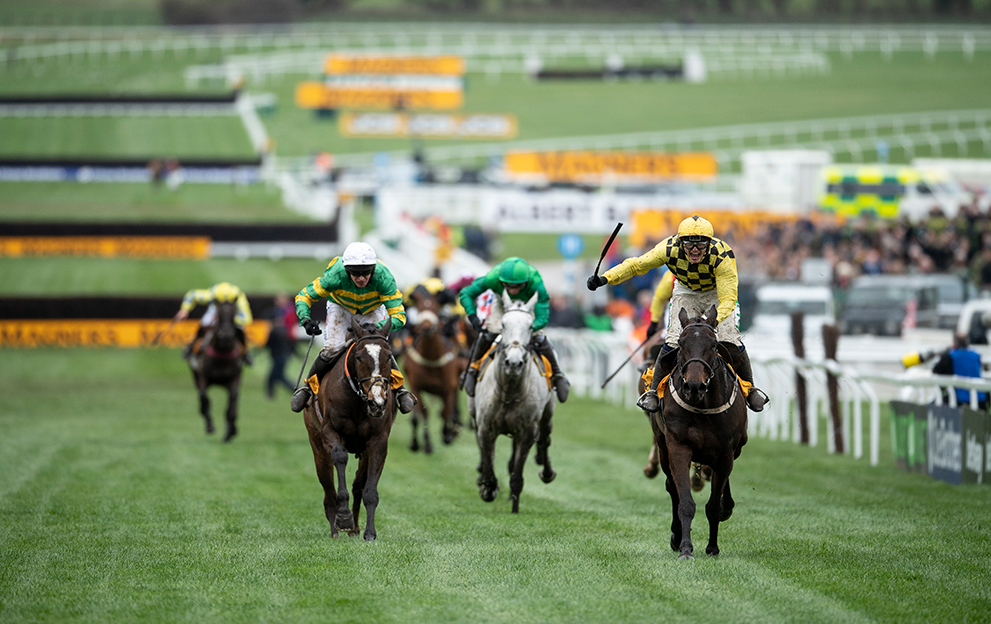 Cheltenham thursday collaborative guide for unforgettable moments