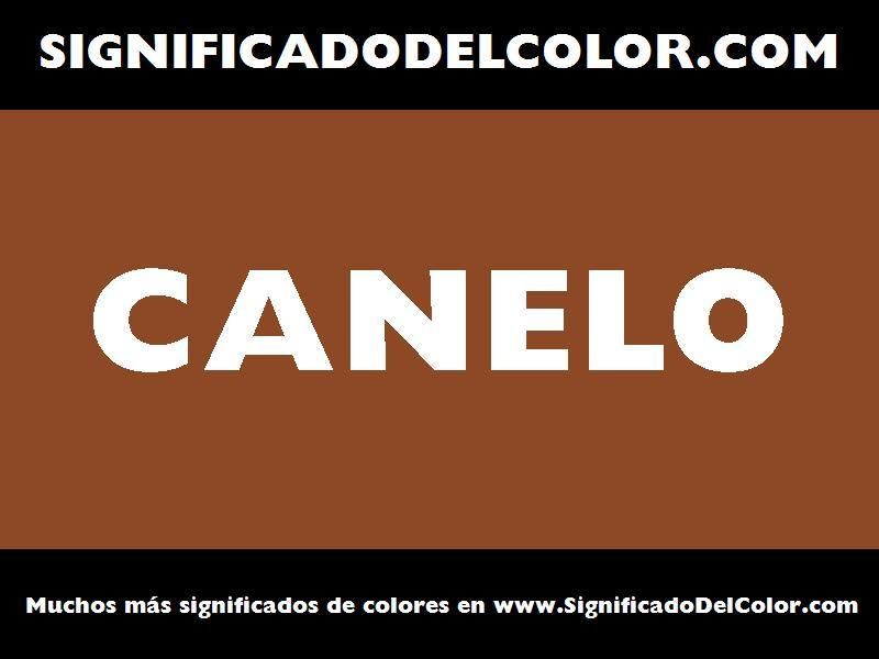 Visionary canelo color choices that redefine boxing style and flair