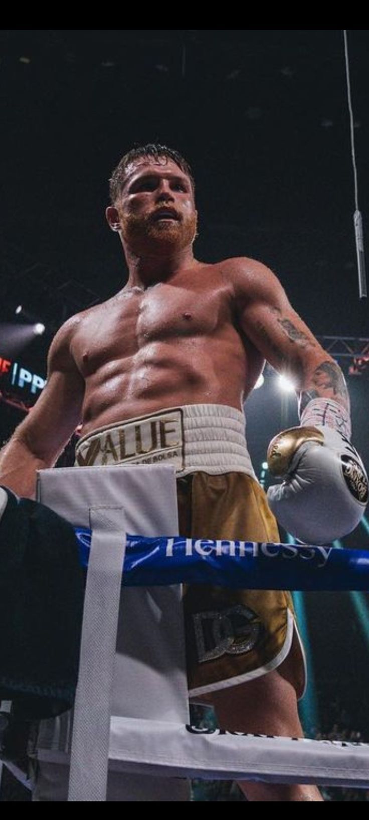 Canelo alvarez pfp analysis of his legendary boxing career