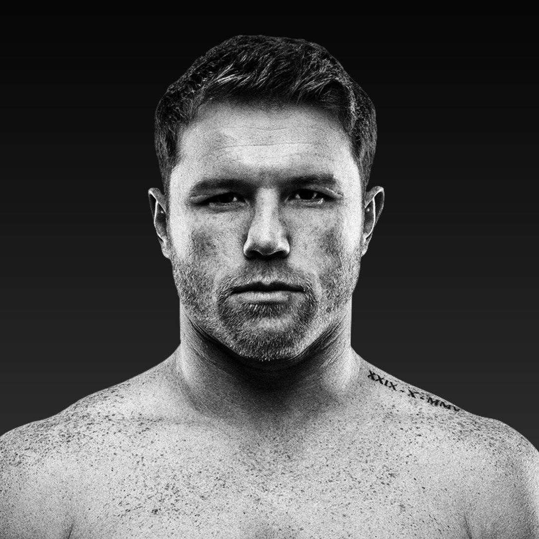 Groundbreaking canelo alvarez portrait capturing his fierce spirit and legacy