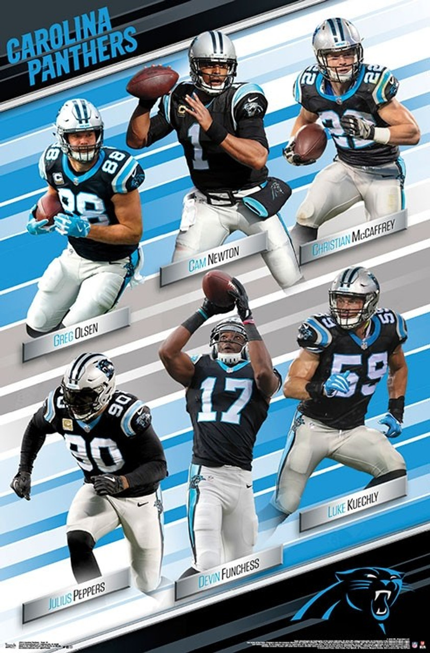 Carolina panthers poster: enduring images of team spirit and pride