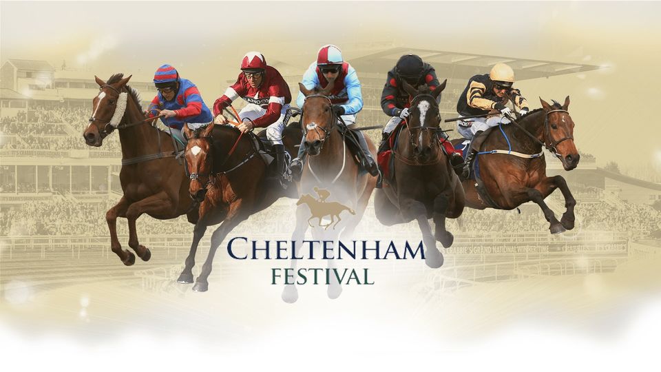 Cheltenham 2024 electrifying moments to experience like never before