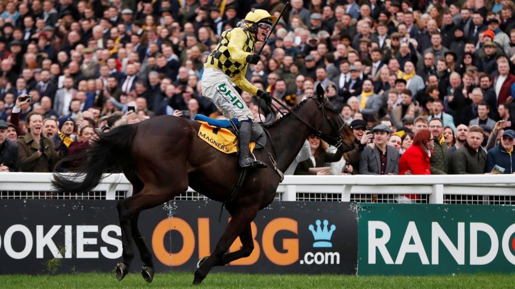Cheltenham 2019 adventurous moments that captured our hearts