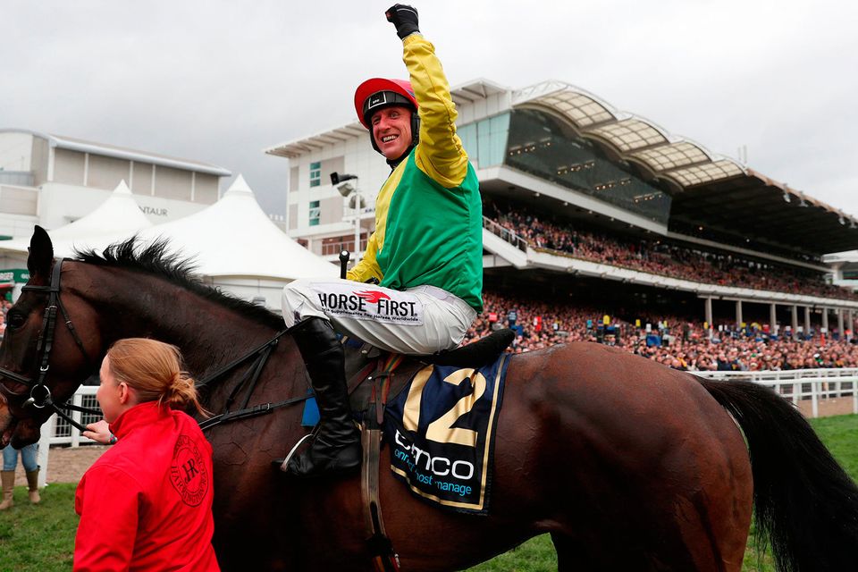 **discover exhilarating moments from the cheltenham gold cup 2017**