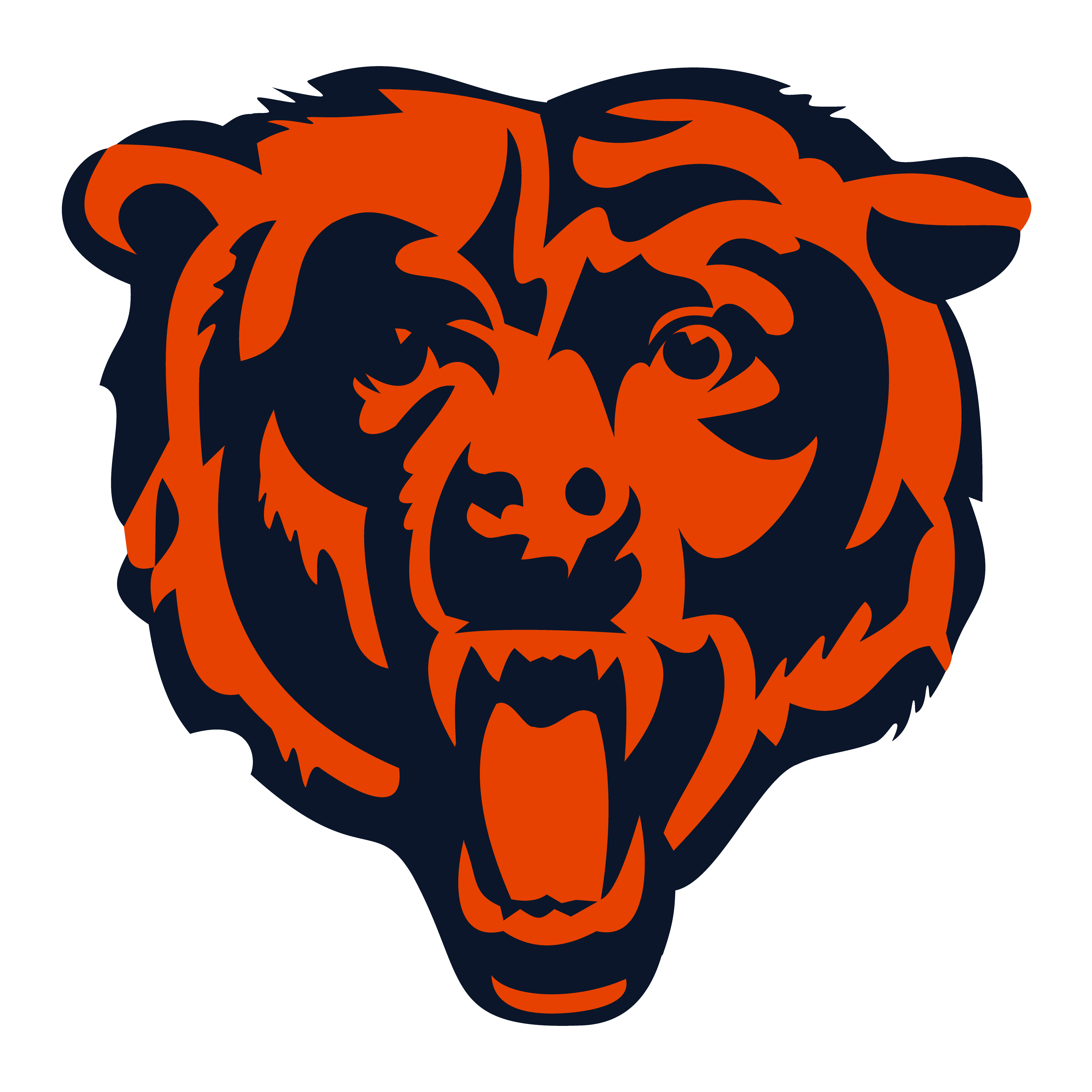 Mighty chicago bears image gallery showcasing iconic team moments