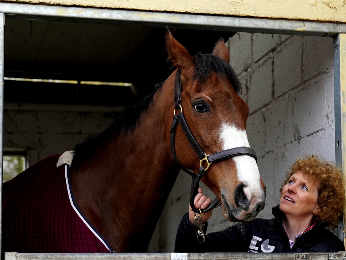Stunning corach rambler horse insights for equestrian enthusiasts