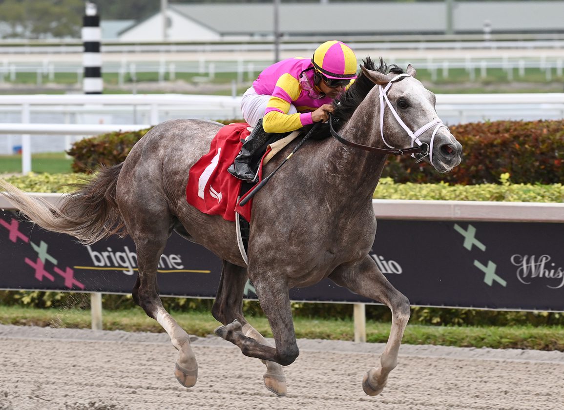 Fast-paced derby horse pictures capturing the thrill of the race